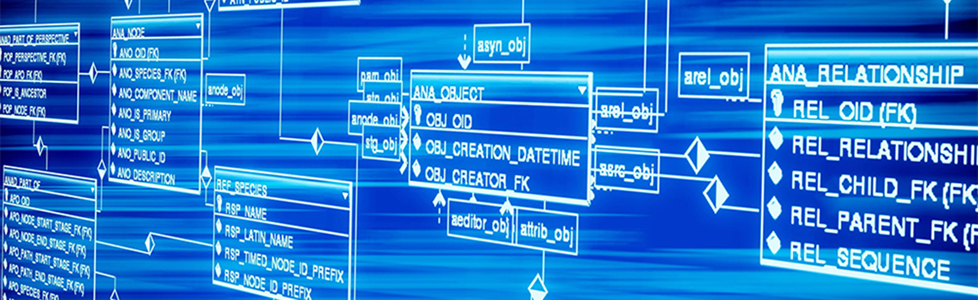 How an Integrated Database Can Build Your Sales